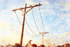 Jinx ik het, of horen date-updates onder embargo?